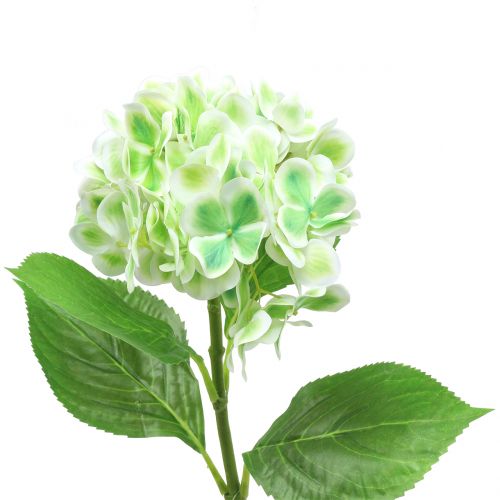 Floristik24 Hortensja sztuczna zielona, biała 68cm
