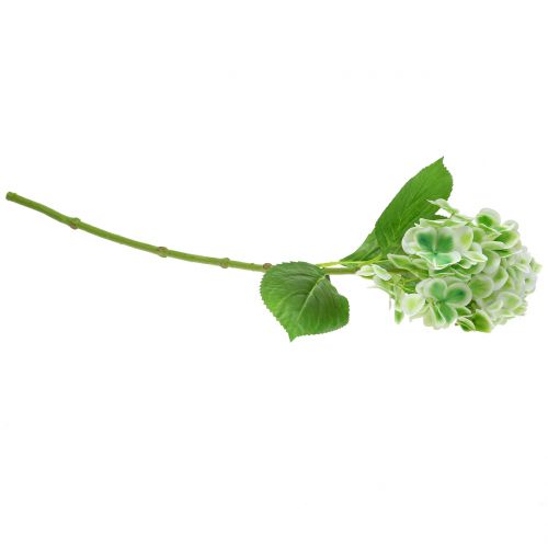 Produkt Hortensja sztuczna zielona, biała 68cm