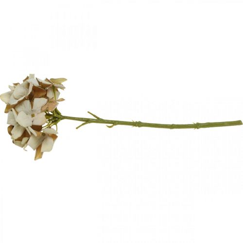 Floristik24 Hortensja sztuczny kwiat brązowa, biała jesienna dekoracja kwiat jedwabiu wys.32cm