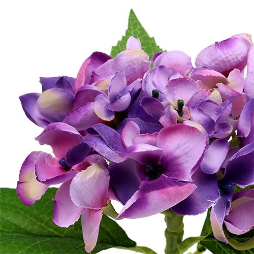 Floristik24 Hortensja fioletowa 33cm 1szt.