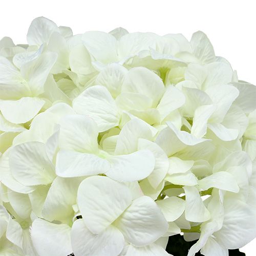 Floristik24 Hortensja Maxi Biała Ø30cm L113cm