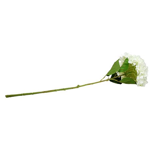 Floristik24 Hortensja Maxi Biała Ø30cm L113cm