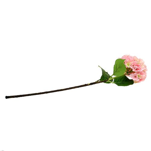 Floristik24 Hortensja różowa L 70cm