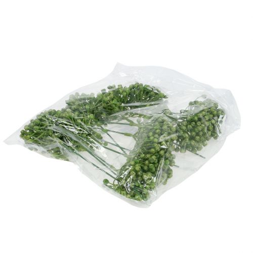 Produkt Pąki hortensji 22cm zielone 12 szt