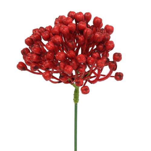 Floristik24 Hydrangea Bud Pick 22cm Red 12szt.