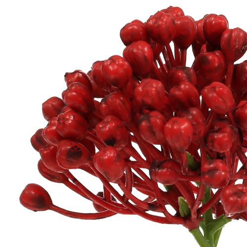 Produkt Hydrangea Bud Pick 22cm Red 12szt.