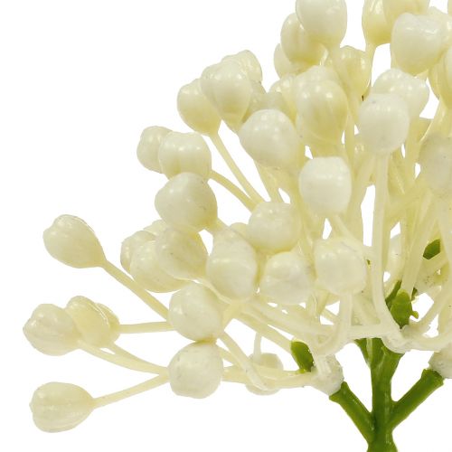 Produkt Pąki hortensji 22cm kremowe 12szt