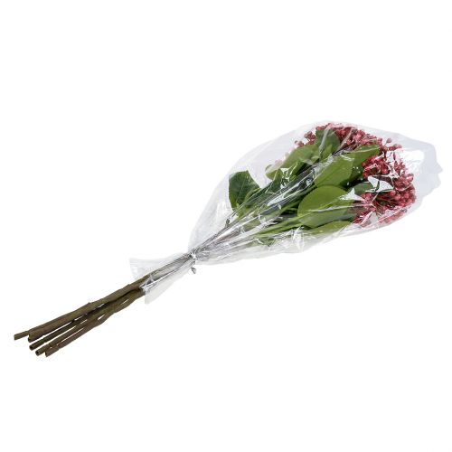 Floristik24 Hortensja gałązka pączkowa 55cm Różowa 6szt