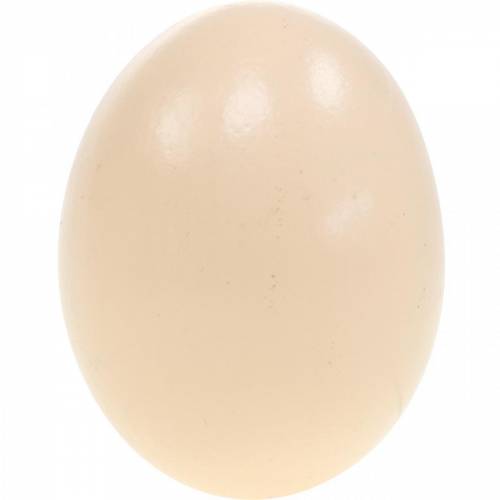 Produkt Jajko Kurze Kremowe Dekoracje Wielkanocne Jajka Dmuchane 10szt