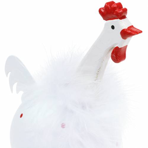 Produkt Kurczak biały w kropki 21cm