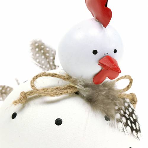 Floristik24 Figurka dekoracyjna kurczak biały w kropki i pióra wys.13cm 2szt