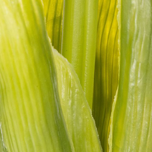 Produkt Hiacynt Real-Touch Różowy 40cm