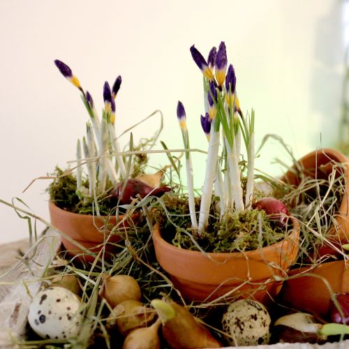 Produkt Doniczka gliniana Ø9cm wys. 8cm 10szt