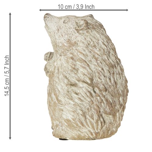 Floristik24 Jeż jesienna figurka dekoracyjna z odlewu kamiennego, bielona, wys. 14,5 cm