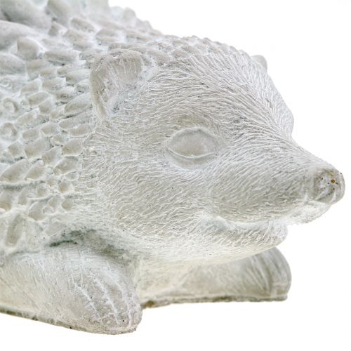 Floristik24 Figurka ogrodowa jeż 18,5 cm x 11,5 cm