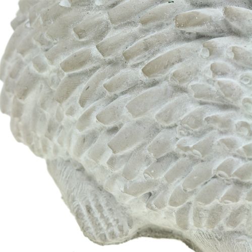 Floristik24 Figurka ogrodowa jeż 18,5 cm x 11,5 cm