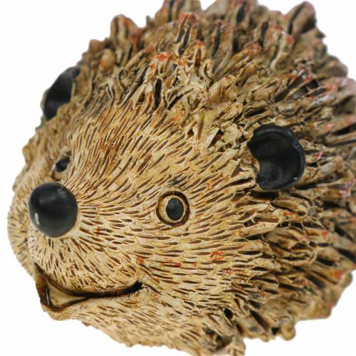 Floristik24 Figurka dekoracyjna jeż natura 6,5cm