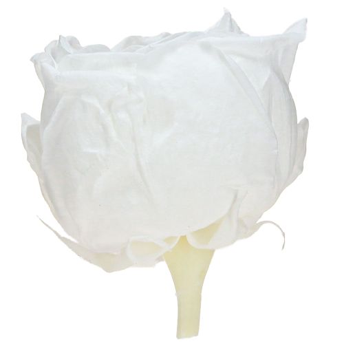 Produkt Róże Infinity Real Preserved Roses Białe Ø6cm 6 szt.