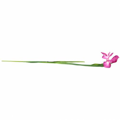 Produkt Irys sztuczny różowy 78cm