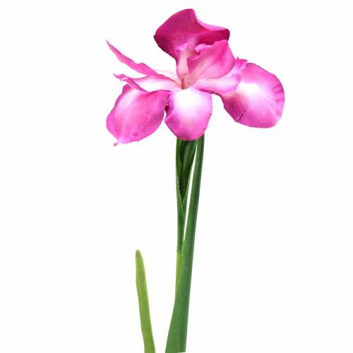 Produkt Irys sztuczny różowy 78cm