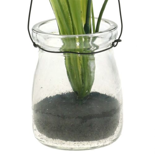 Produkt Irys fioletowy w szkle do zawieszenia H21,5cm