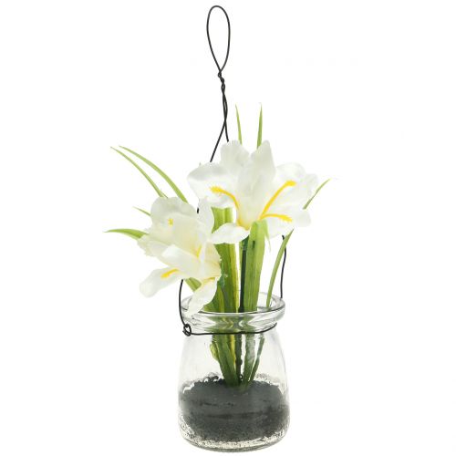 Floristik24 Iris biały w szkle do zawieszenia H21,5cm