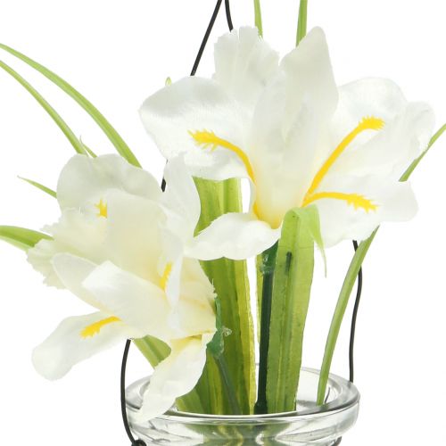 Floristik24 Iris biały w szkle do zawieszenia H21,5cm