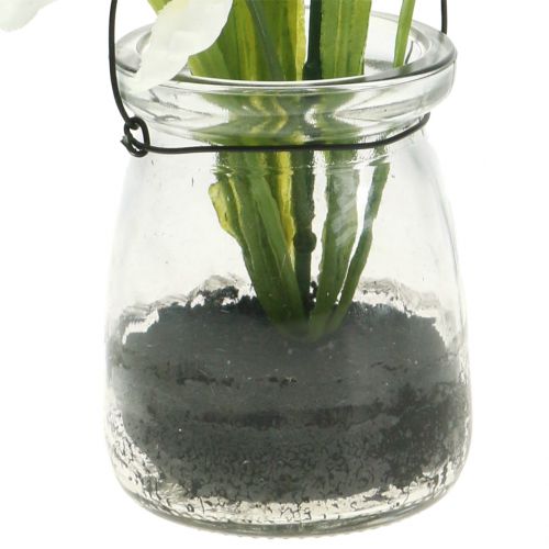 Floristik24 Iris biały w szkle do zawieszenia H21,5cm