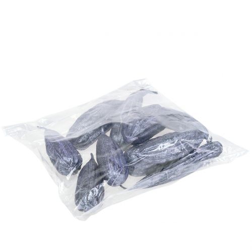 Floristik24 Luffa Fiolet Owocowy 14cm – 20cm 10 szt