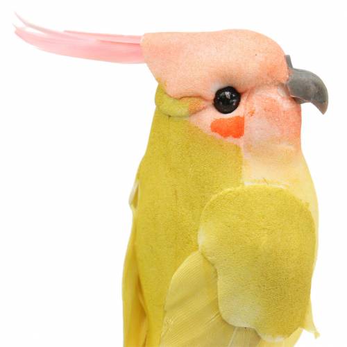 Floristik24 Deco Cockatoo z metalowym drutem Zielony Żółty H13cm 4szt.