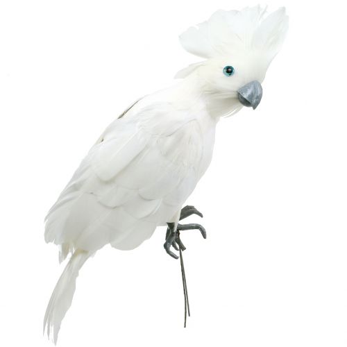 Floristik24 Deco Cockatoo z Piórami Biały L30cm