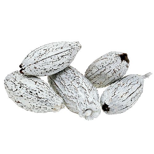 Produkt Owoce kakaowe bielone 15szt