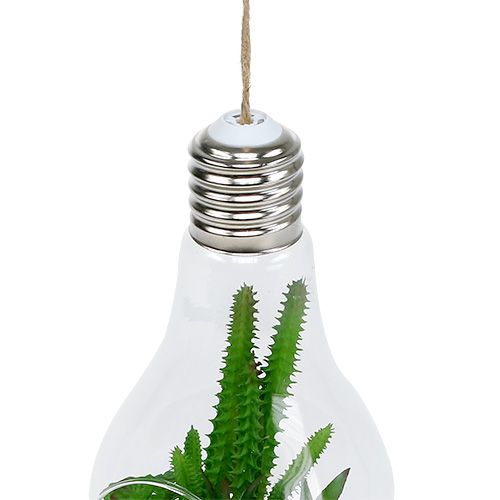 Produkt Kaktusy w szkle do zawieszenia 21cm
