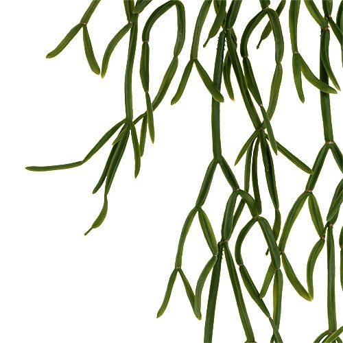 Floristik24 Kaktus Wieszak 115cm Zielony