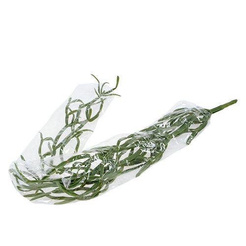 Floristik24 Kaktus Wieszak 115cm Zielony