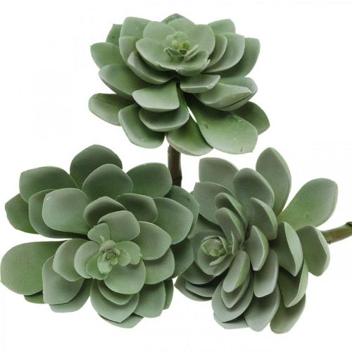 Floristik24 Sztuczne soczyste sztuczne rośliny zielone 11 × 8,5 cm 3 szt.