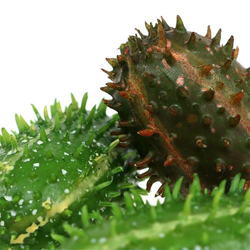 Floristik24 Figa kaktusowa 5cm zielono-brązowa 6szt