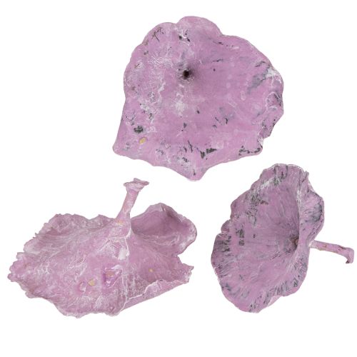 Produkt Kalix Mushroom Purple, White Washed 100 szt.