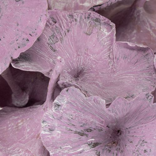 Produkt Kalix Mushroom Purple, White Washed 100 szt.