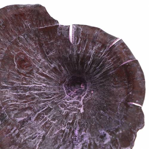 Produkt Kalix Mushroom Purple, White Washed 100 szt.