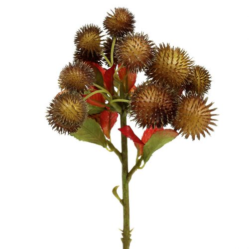 Chestnut Pick Brown 32cm