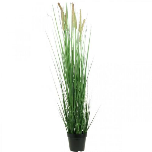 Floristik24 Sztuczna turzyca w doniczce z kolcami Carex sztuczna roślina 98cm