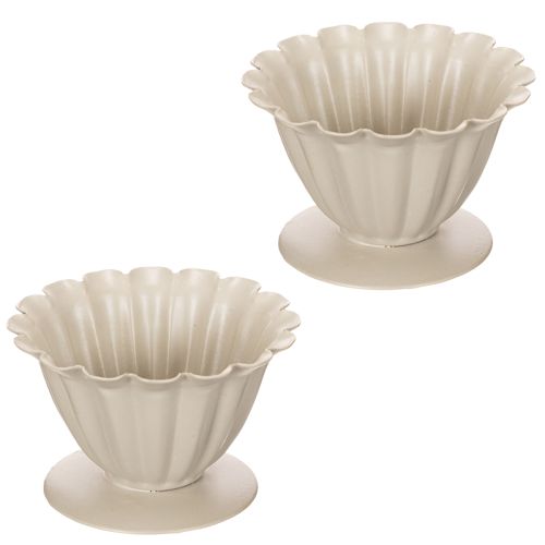 Misa, kielich, kielich kwiatowy, dekoracja kremowa, 9 cm | Floristik24.pl