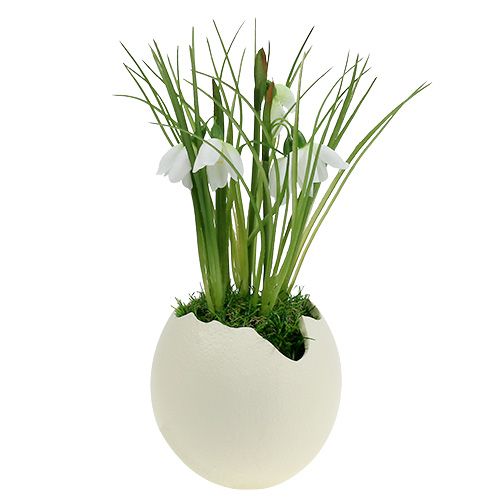 Floristik24 Jajko ceramiczne otwarte kremowe H12cm 2szt.