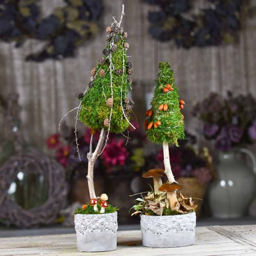 Floristik24 Doniczki z żołędziami i liśćmi, Ceramiczna doniczka zielona, biała, szara Ø17cm H9,5cm Zestaw 3 szt.