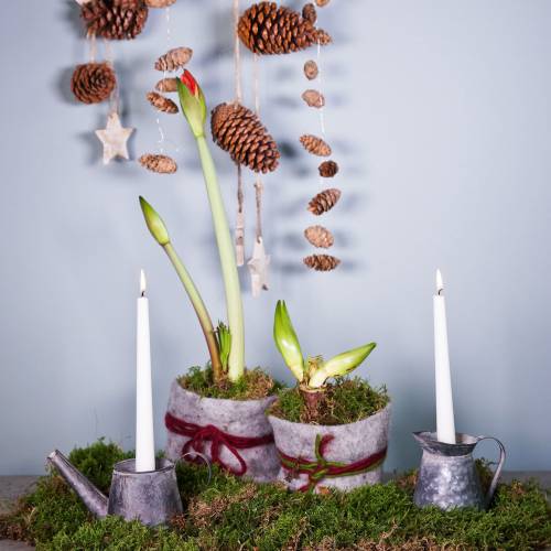 Floristik24 Świecznik dzbanek antyczny wygląd H12/9cm 2szt