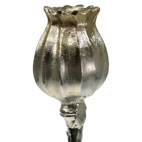 Floristik24 Świecznik Poppy Blossom Champagne H34cm