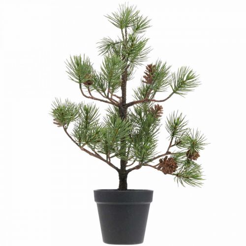 Floristik24 Sztuczna sosna w doniczce Choinka z szyszkami 52cm