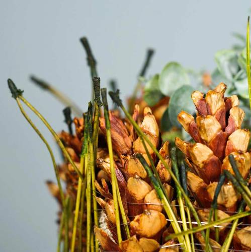 Floristik24 Igły sosnowe zielone 400g