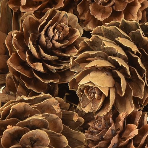 Produkt Szyszki naturalne, szyszki ozdobne, drobne, siateczka 2,5-3,5cm, 300g
